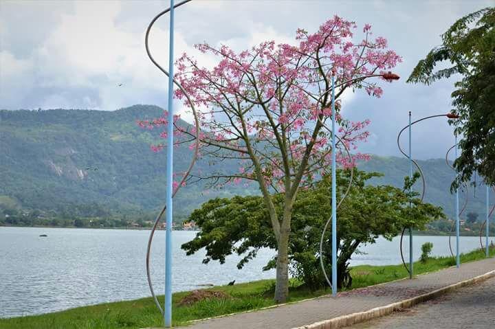 Pousada Castelinho มารีกา ภายนอก รูปภาพ