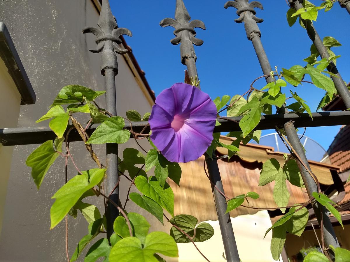 Pousada Castelinho มารีกา ภายนอก รูปภาพ